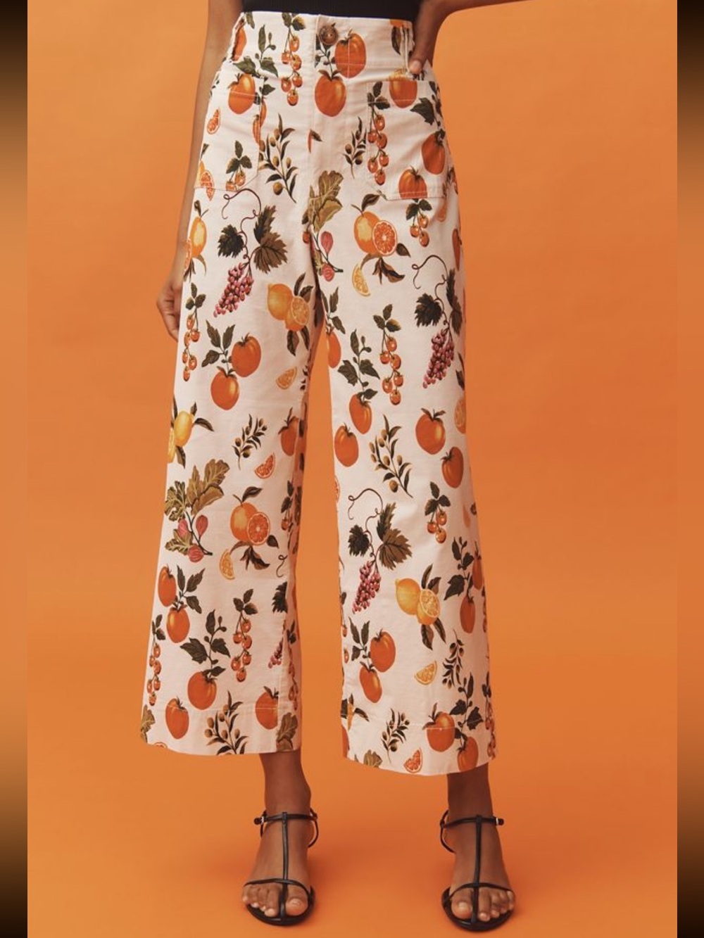 Maeve by Anthropologie the colette cropped wide leg pants fruit botanical print